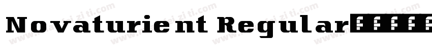 Novaturient Regular字体转换